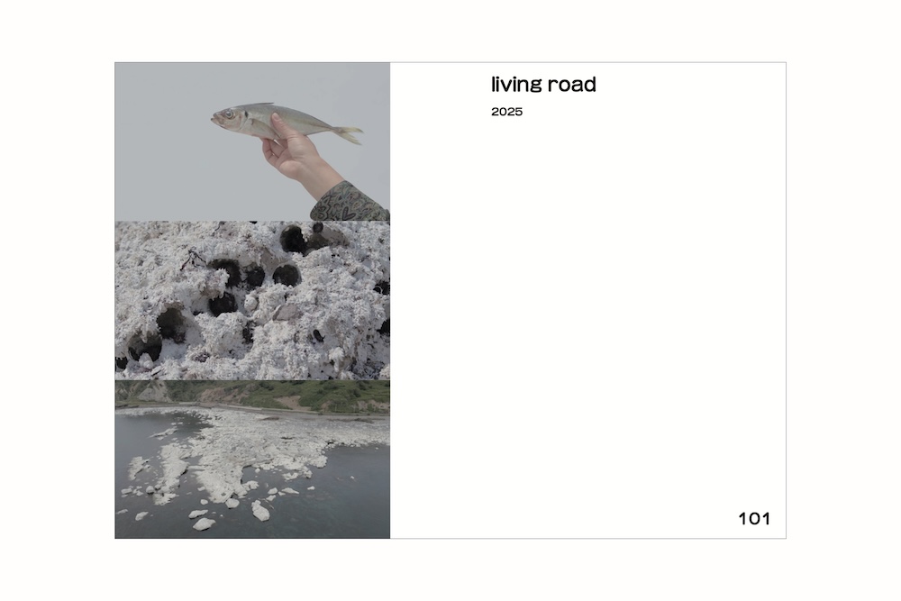 SIDE CORE_web_04-min