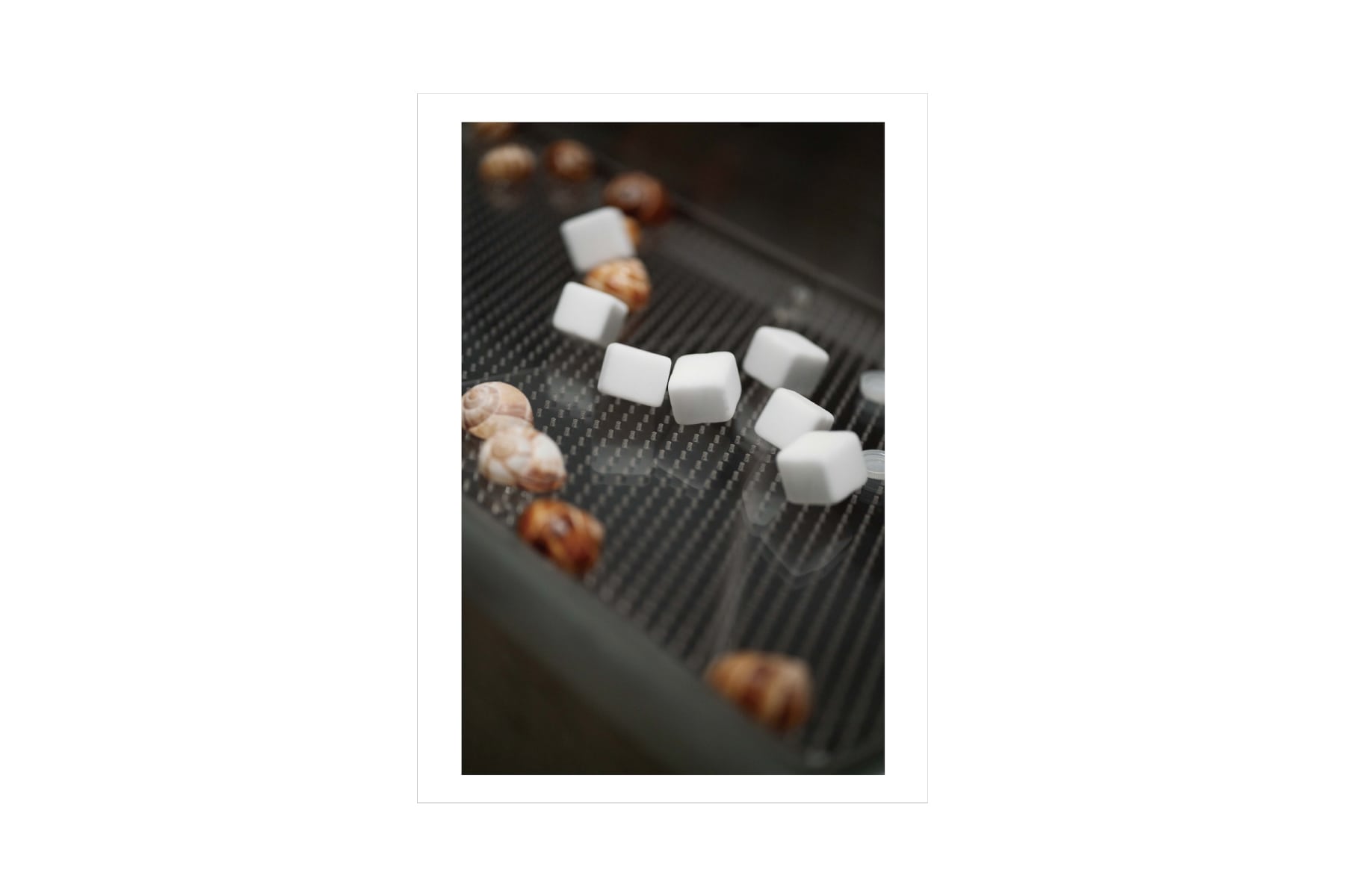 笹本晃_web写真11-min