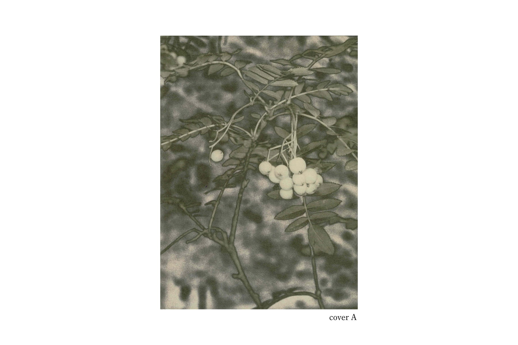 feiyi wen_web-01